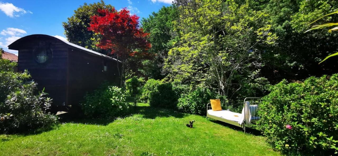 Les Jardins De Mimizan Bed & Breakfast エクステリア 写真